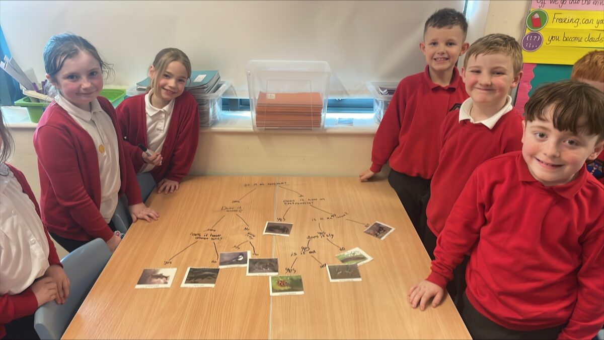 Categorized Key Assignment Color Coded Classification Keys - Newsham Primary School